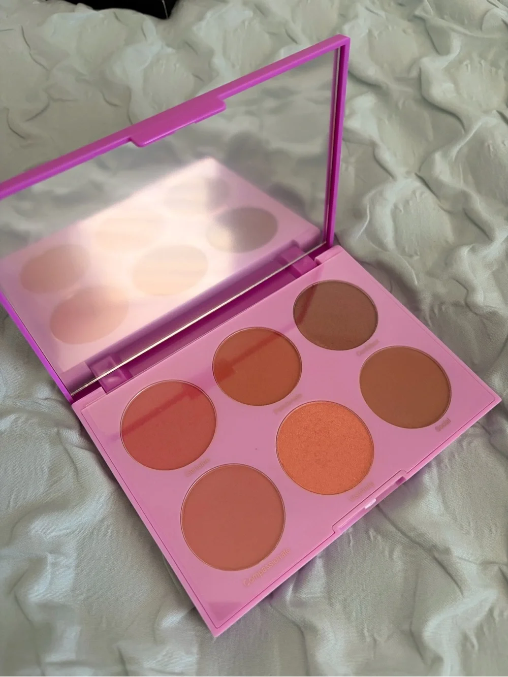 RealHer You Are Brilliant Pro Blush Palette